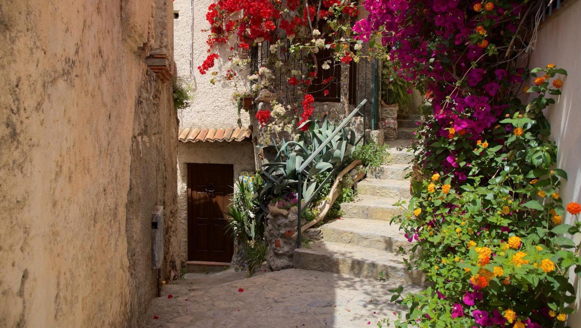 The Lemon Tree House Daire Scalea Dış mekan fotoğraf